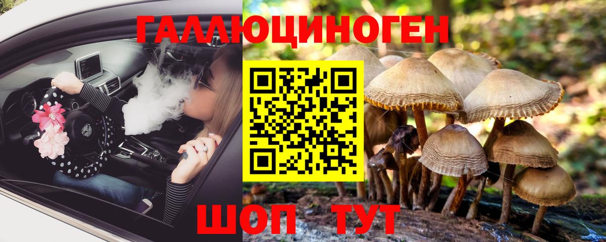 НБОМе  COCAIN  Курчалой  Вход с VPN  MDMA  МАРИХУАНА  APVP СОЛЬ   Гашиш  Меф  