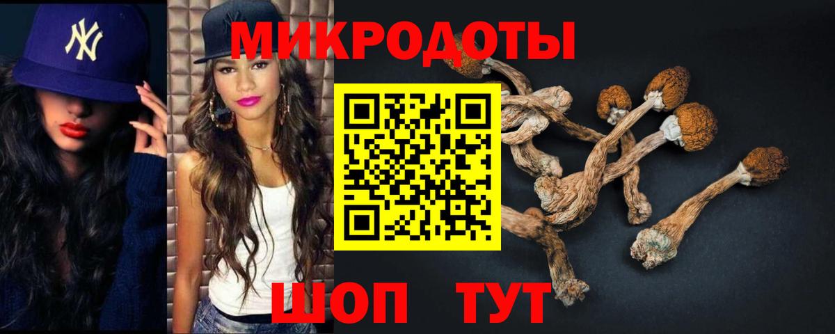 Псилоцибиновые грибы MAGIC MUSHROOMS  хочу   Курчалой  Вход с VPN 